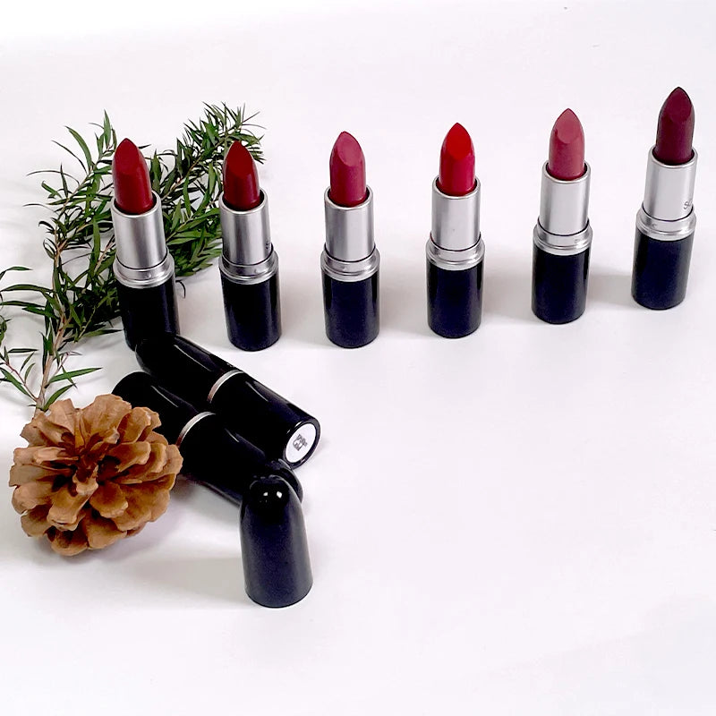 24 Colors OEM ODM Pigmented  Long Time Lasting Waterproof Vegan Paste Lipstick